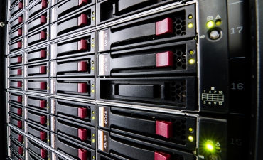 Gallery: Pellentesque non